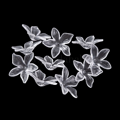 Transparent Acrylic Bead Caps&nbsp;TACR-G050-04A
