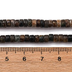 Natural Biotite Beads Strands&nbsp;G-L624-I12-2x4mm