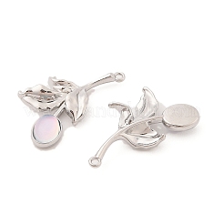 Alloy & Resin Pendants&nbsp;FIND-Z053-04A-01
