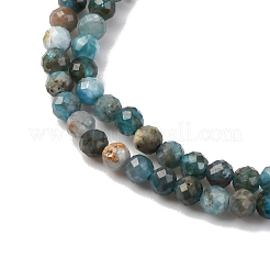 Natural Apatite Beads Strands&nbsp;G-RM241221-B12