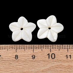Natural Freshwater Shell Carved Pendants&nbsp;SHEL-K006-69A