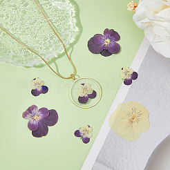 120pcs 3 Style Dried Pansy Flower&nbsp;DIY-HY0001-62