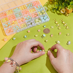 234Pcs Transparent Acrylic Beads&nbsp;TACR-PH0001-68