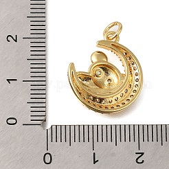 Rack Plating Brass Micro Pave Cubic Zirconia Pendants&nbsp;ZIRC-F142-24G