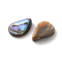 Natural Paua Shell Beads&nbsp;SSHEL-F305-02A