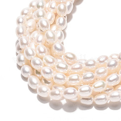 Natural Cultured Freshwater Pearl Beads Strands&nbsp;PEAR-N024-06-4AB