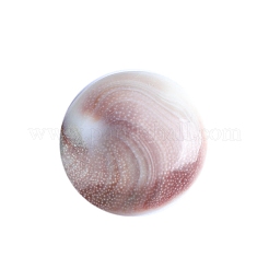 Natural Conch Shells Round Decorations&nbsp;PW-WG89460-01