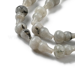 Natural Labradorite Beads Strands&nbsp;G-C039-A01