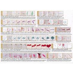 Embroidery Kit&nbsp;DIY-M026-01A