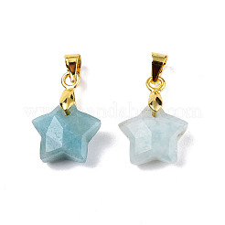 Natural Amazonite Charms&nbsp;X-G-N326-142-08