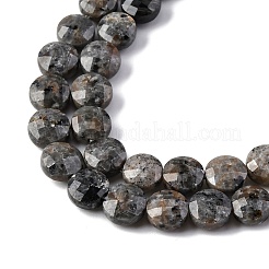 Natural Fluorescent Syenite Rock(Glow under UV Light) Beads Strands&nbsp;G-C179-A39-03