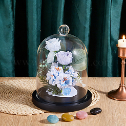 Arch Glass Dome Cover&nbsp;AJEW-WH0481-606B