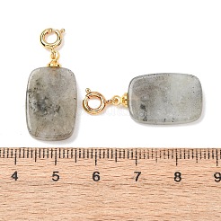 Natural Labradorite Pendant Decorations&nbsp;G-G461-01G-07