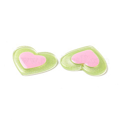 Acrylic Pendants&nbsp;FIND-A022-04B