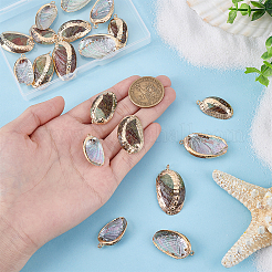 20Pcs Electroplated Natural Paua Shell Pendants&nbsp;SSHEL-PH0001-49