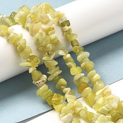 Natural Lemon Jade Chip Bead Strands&nbsp;G-M205-22