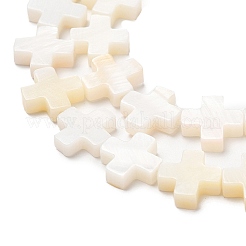 Natural Freshwater Shell Beads Strands&nbsp;SHEL-F007-02
