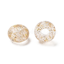 Transparent Acrylic European Beads&nbsp;TACR-P009-A01-03