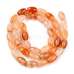 Dyed Natural Agate Beads Strands&nbsp;G-T141-15A-01