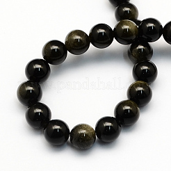 Natural Golden Sheen Obsidian Round Beads Strands&nbsp;X-G-S157-6mm