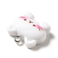 Opaque Resin Pendants&nbsp;RESI-G056-01D