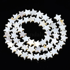 Natural Freshwater Shell Beads Strands&nbsp;SHEL-S278-01B-01