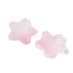 Imitation Candy Food Style Resin Cabochons&nbsp;RESI-R461-02K