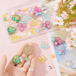 60Pcs 15 Styles Transparent Resin Cabochons&nbsp;CRES-SC0002-83