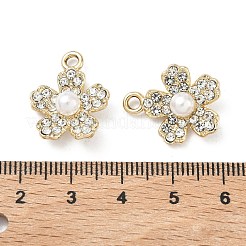 Alloy Pendants&nbsp;ALRI-D303-10G
