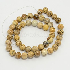 Picture Jasper Round Beads Strands&nbsp;X-G-GSR8mmC016