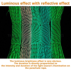30M Luminous Glow in the Dark Polyester Cord&nbsp;AJEW-SP0004-86B