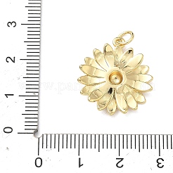 Brass Charms&nbsp;KK-F930-13G
