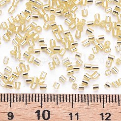Glass Bugle Beads&nbsp;SEED-S032-08A-22
