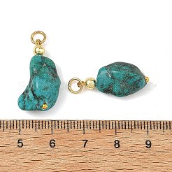 Dyed Natural Magnesite Pendants&nbsp;PALLOY-JF05937-02