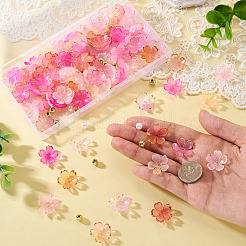 160Pcs 8 Styles Acrylic Bead Caps&nbsp;OACR-TA0004-53B