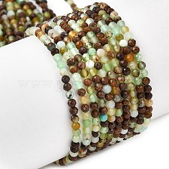 Natural Chrysoprase Beads Strands&nbsp;G-RM250104-B6