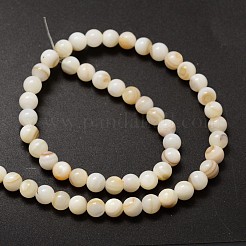 Natural Freshwater Shell Round Bead Strands&nbsp;SHEL-M013-01