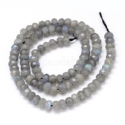 Natural Labradorite Rondelle Bead Strands&nbsp;G-O095-04-A