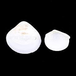 Natural Ark Shell Beads&nbsp;SSHEL-T005-09