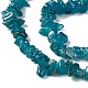 Natural Apatite Beads Strands&nbsp;G-G960-01-4