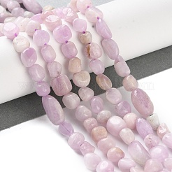 Natural Kunzite Beads Strands&nbsp;G-P497-01C-36