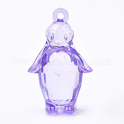 Transparent Acrylic Pendants&nbsp;TACR-S149-03