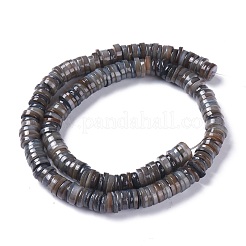Natural Freshwater Shell Beads Strands&nbsp;BSHE-I016-04