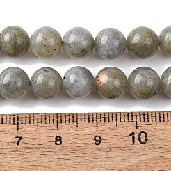 Natural Labradorite Bead Strands&nbsp;G-P259-05-8mm