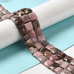 Natural Rhodonite Beads Strands&nbsp;G-C109-A03-02