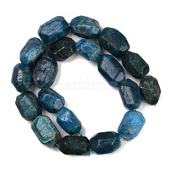 Natural Apatite Beads Strands&nbsp;G-F796-C04-01