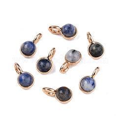 Natural Blue Spot Jasper Charms&nbsp;G-N326-141A