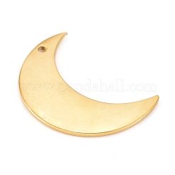 304 Stainless Steel Pendants&nbsp;STAS-L238-102B-G