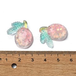 Fruit Transparent Epoxy Resin Decoden Cabochons&nbsp;CRES-I030-21B