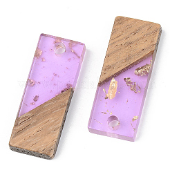 Transparent Resin & Walnut Wood Pendants&nbsp;LS-RESI-S389-059A-B01